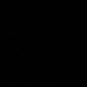 Meet your Posher, Bryanna